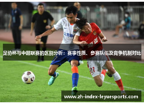 足协杯与中超联赛的区别分析：赛事性质、参赛队伍及竞争机制对比