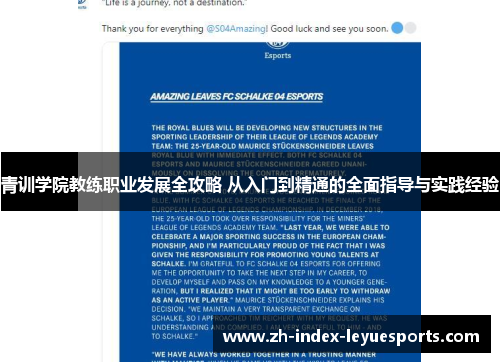 青训学院教练职业发展全攻略 从入门到精通的全面指导与实践经验