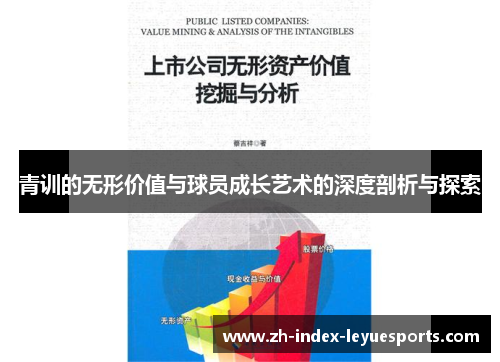 青训的无形价值与球员成长艺术的深度剖析与探索